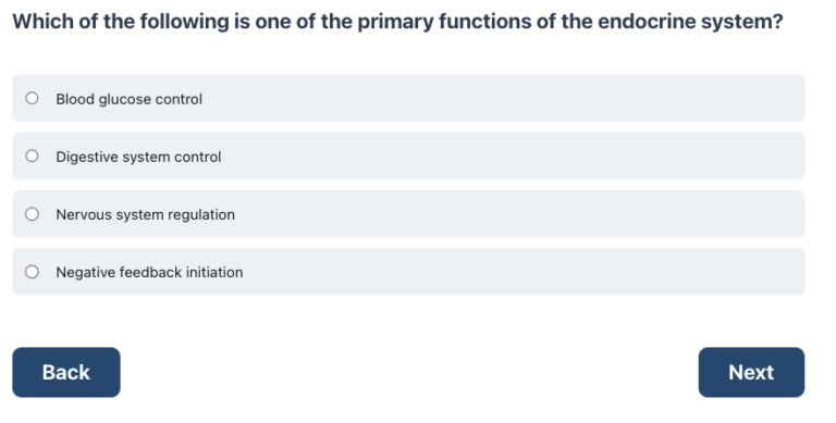 Practice Question Example